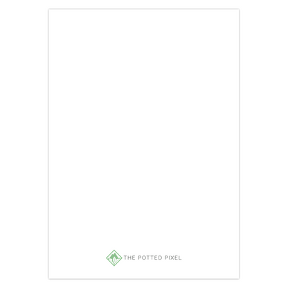 Graptosedum California Sunset Succulent Greeting Card – Blank Inside With Envelope