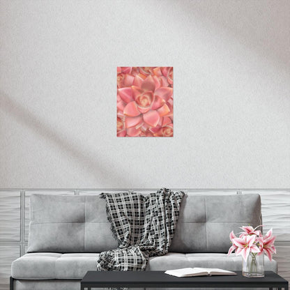Graptosedum California Sunset Succulent Pattern Botanical Print – Unframed Wall Art