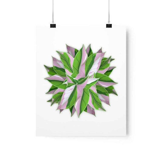 Syngonium Tricolor Pattern Botanical Print – Unframed Wall Art
