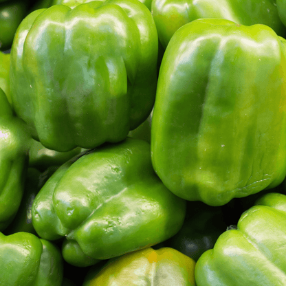 Bell Pepper Seeds