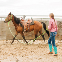 Stiff 4 Knot Clinician Training Halter