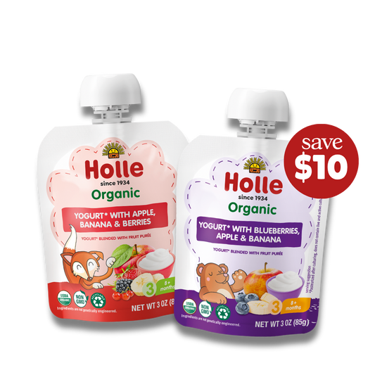 Holle Berry Yogurt Pouches Bundle