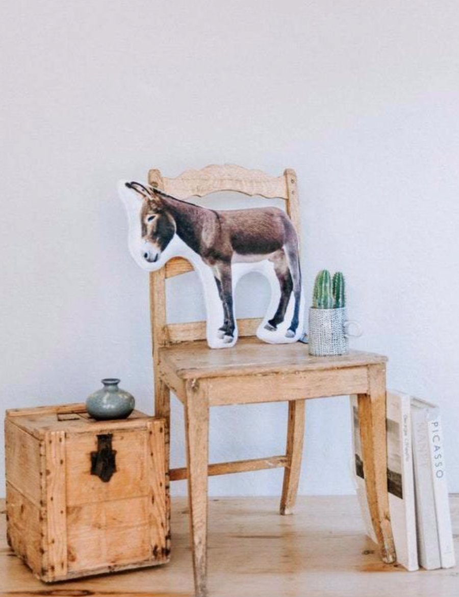 Burro Pillow, College Student Gift, Mother's Day Gift,Christmas Gift