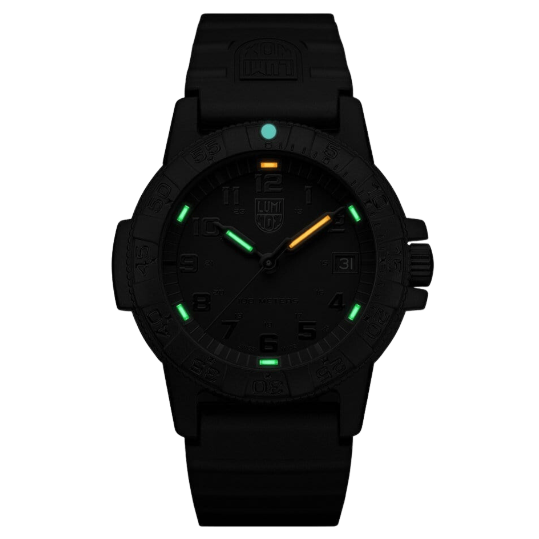 Leatherback SEA Turtle, 39 mm, Outdoor Watch, Blackout