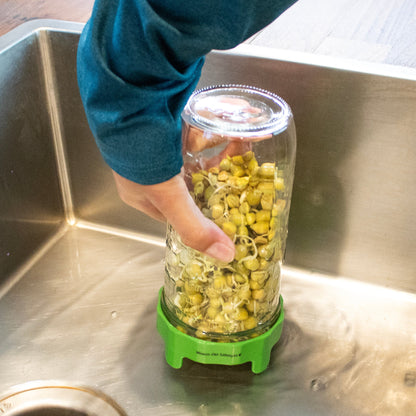 Rust Proof Sprouting Lid with Built-In Stand for Wide Mouth Mason Jars