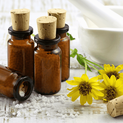 Mountain Arnica – 20 Seeds