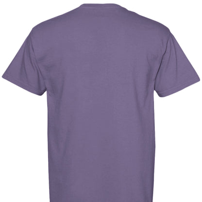 Noah CC tee
