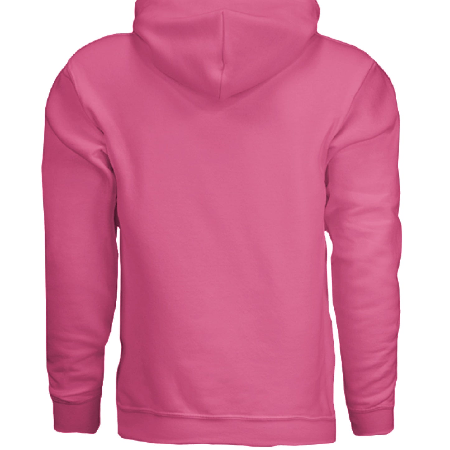 THE BRAND hoodie