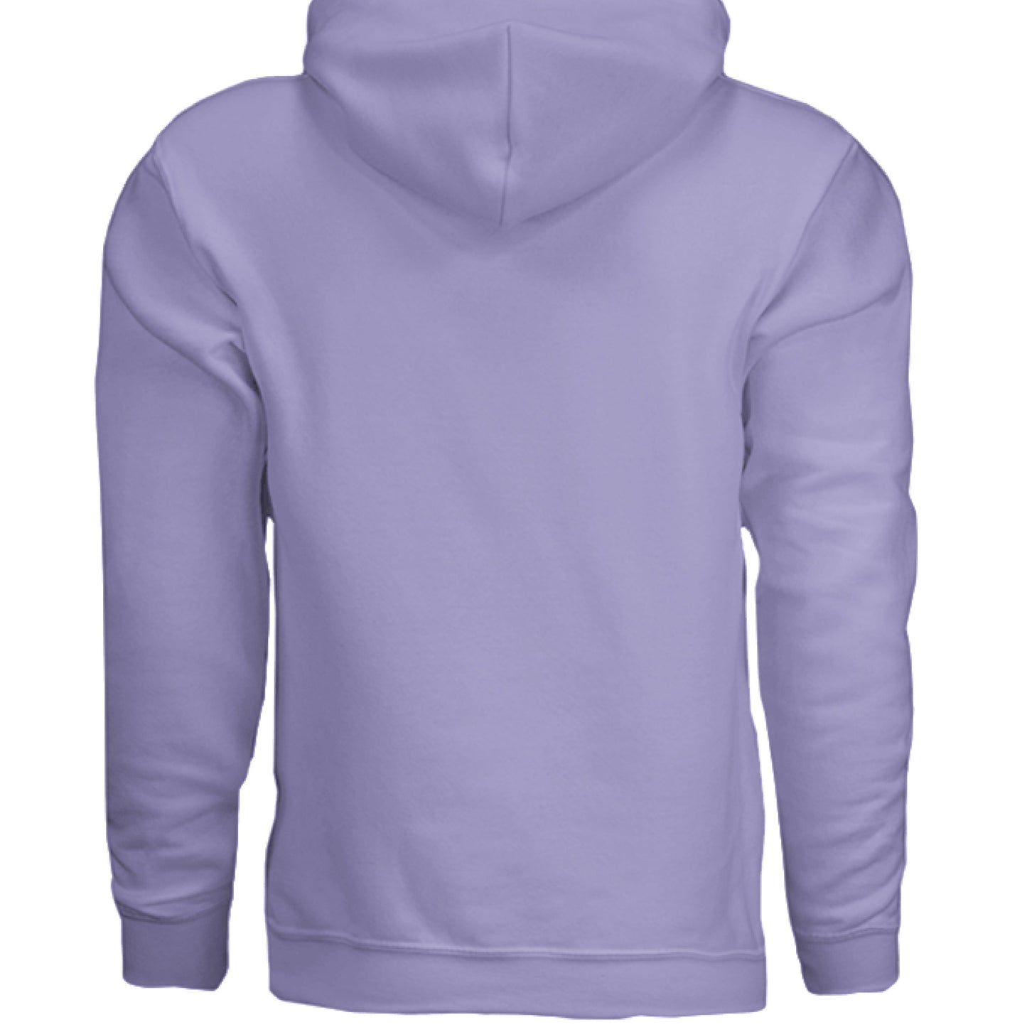 THE BRAND hoodie