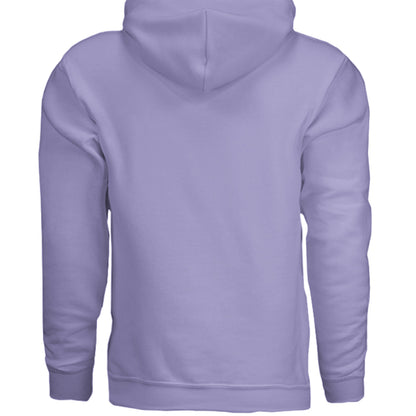 THE BRAND hoodie