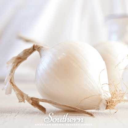 Spanish White Sweet Onion – 200 Seeds