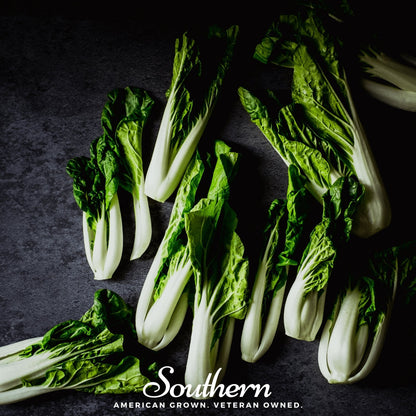 Canton Pak Choi – 100 Seeds