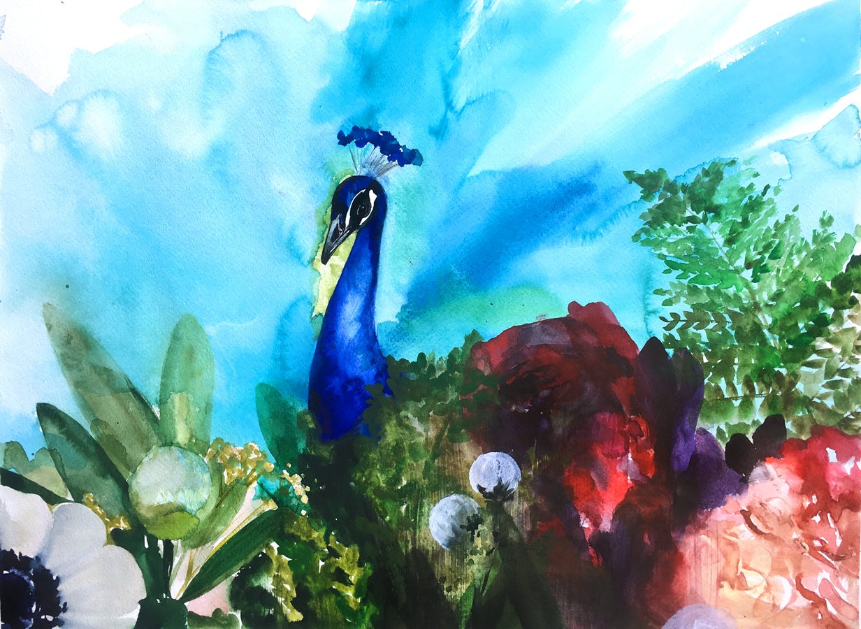 Peacock Garden II Art Print – Vibrant Exotic Bird & Floral Wall Décor, Archival Quality, Ready to Hang