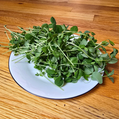 Pea Shoots (Field)