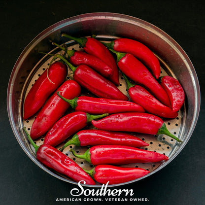 Tabasco Pepper – 50 Seeds