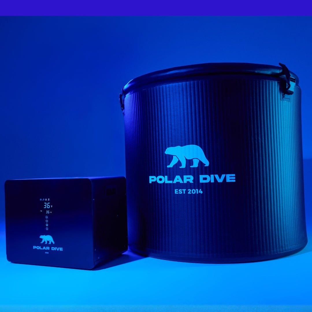 Polar Dive PRO
