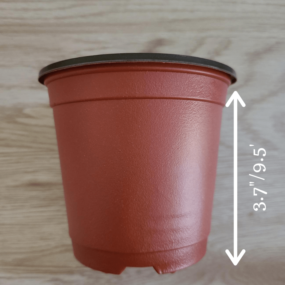Seedling Transplant Pots