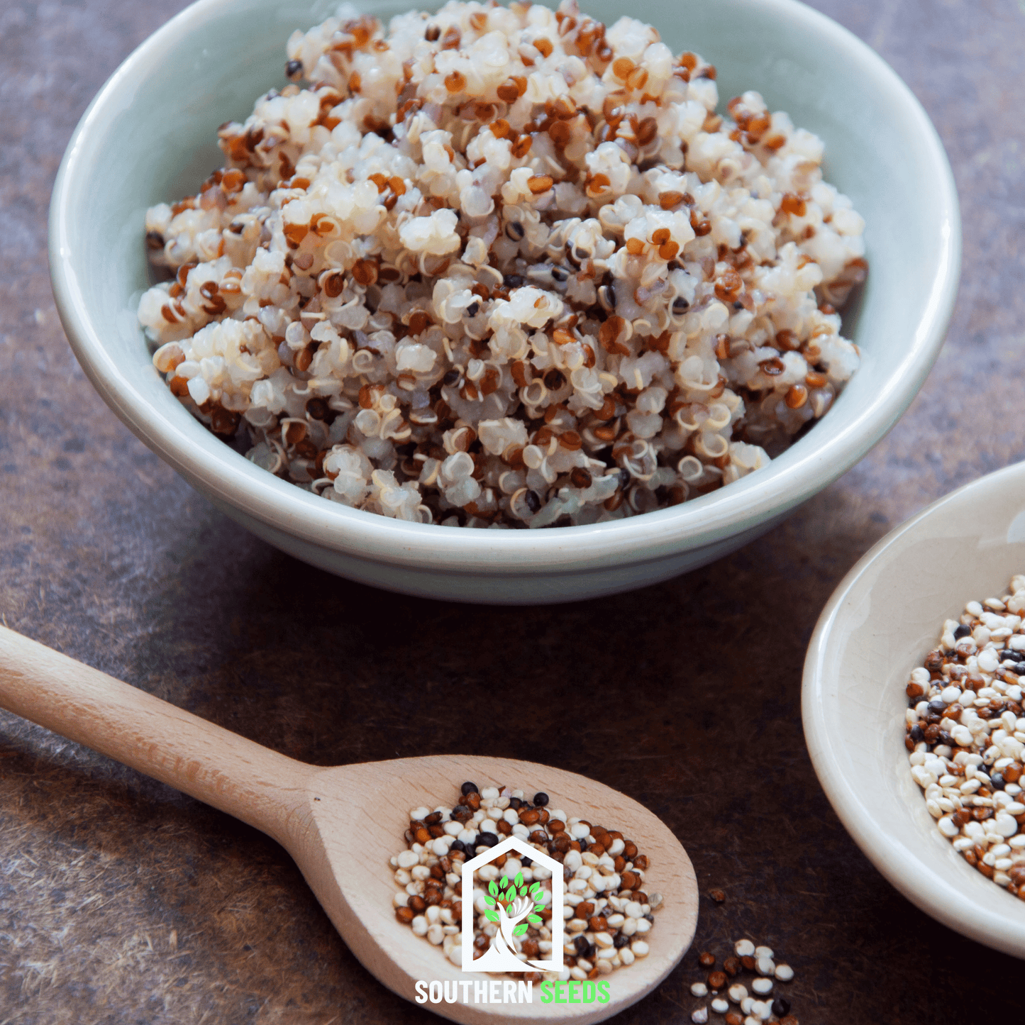 Brightest Brilliant Rainbow Quinoa – 250 Seeds