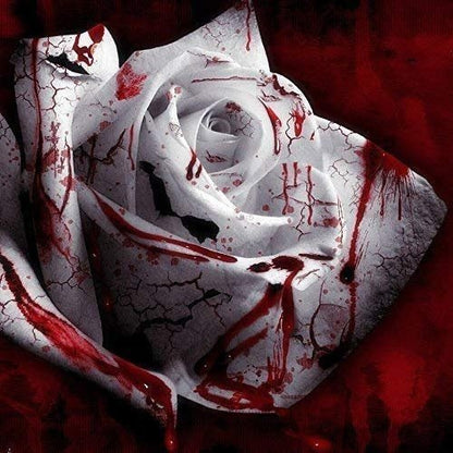 Rare White Blood Rose Plant Flower Seeds Flower Garden Asaka Rare True Blood Rose