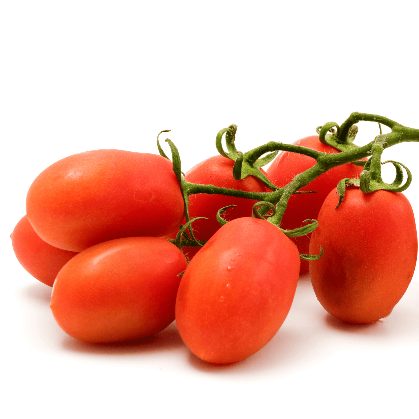 Roma Tomato Seeds