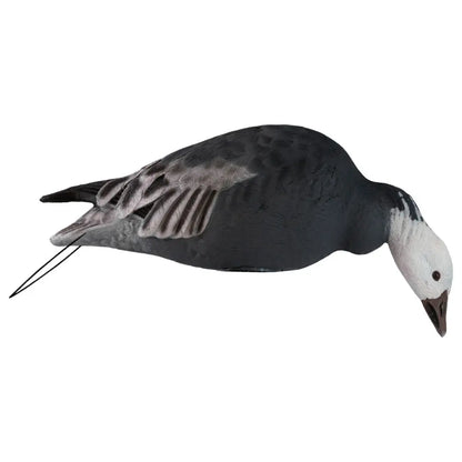 Rugged Series Full Body Snow and Blue Goose Touchdown Decoys 12-Pack