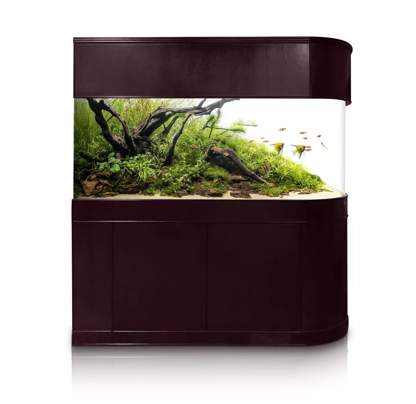 120 Gallon U-Shape Bullnose Peninsula Divider Glass Aquarium Reef-Ready in Rose Cherry Real Wood Furniture