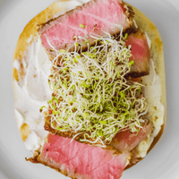 Sprout Spout Broccoli Starter Kit: Sprout Spout + 4oz or 1lb seeds + Free Sprout Scoop