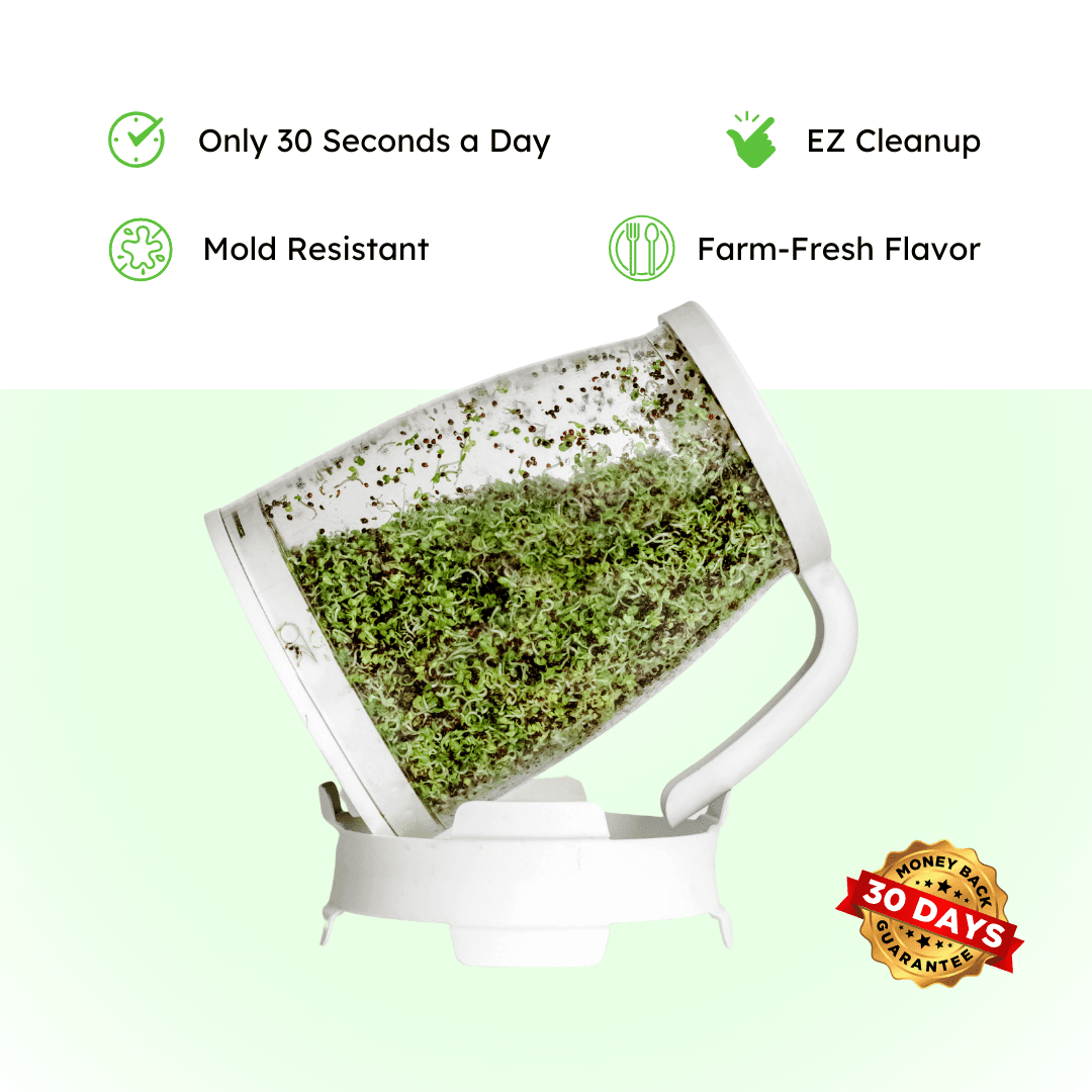 Sprout Spout Broccoli Starter Kit: Sprout Spout + 4oz or 1lb seeds + Free Sprout Scoop