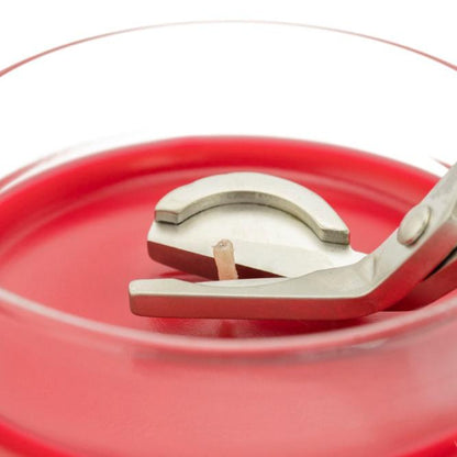 Stainless Steel Wick Trimmer (Collective)