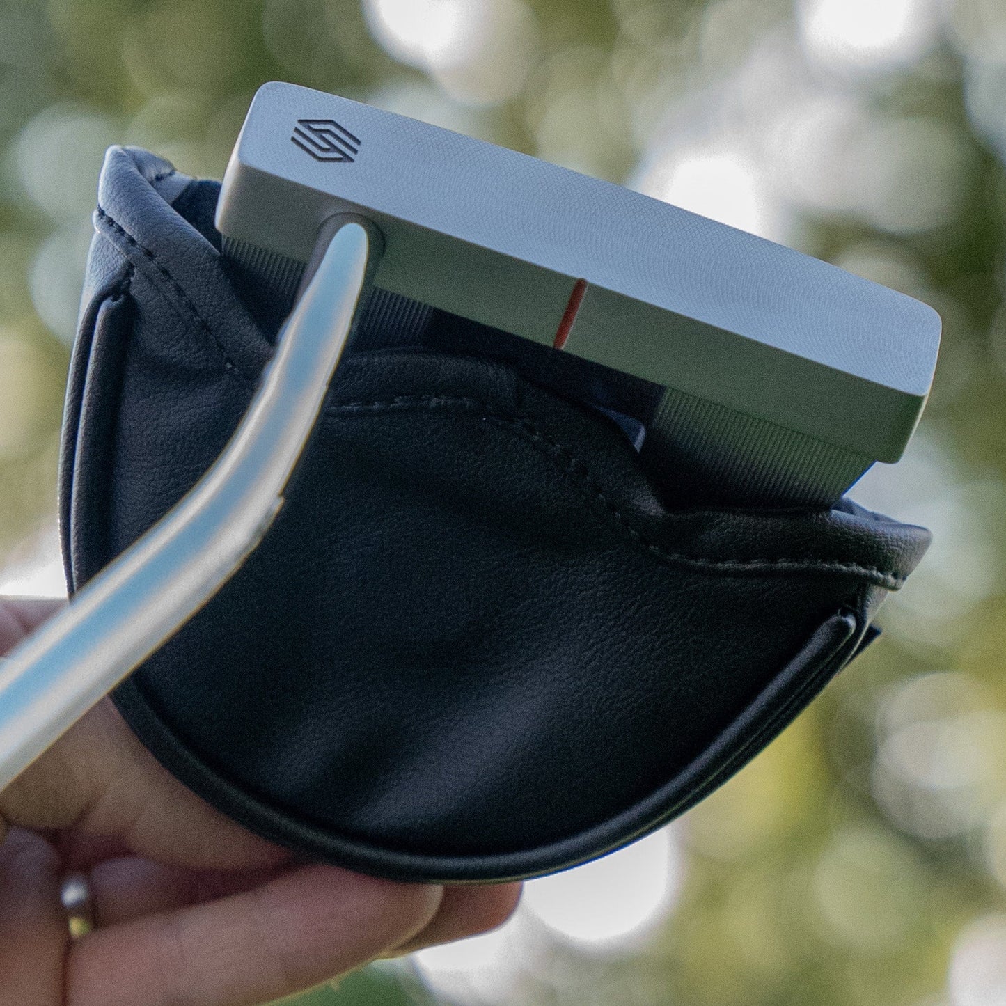 Compete Mallet Putter