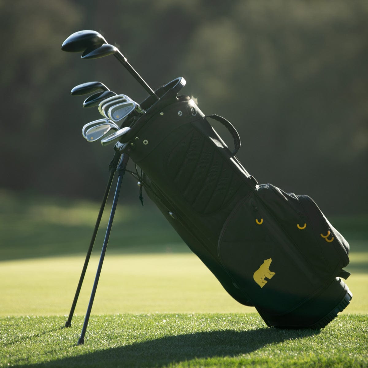 Nicklaus Women's 10 Club Set