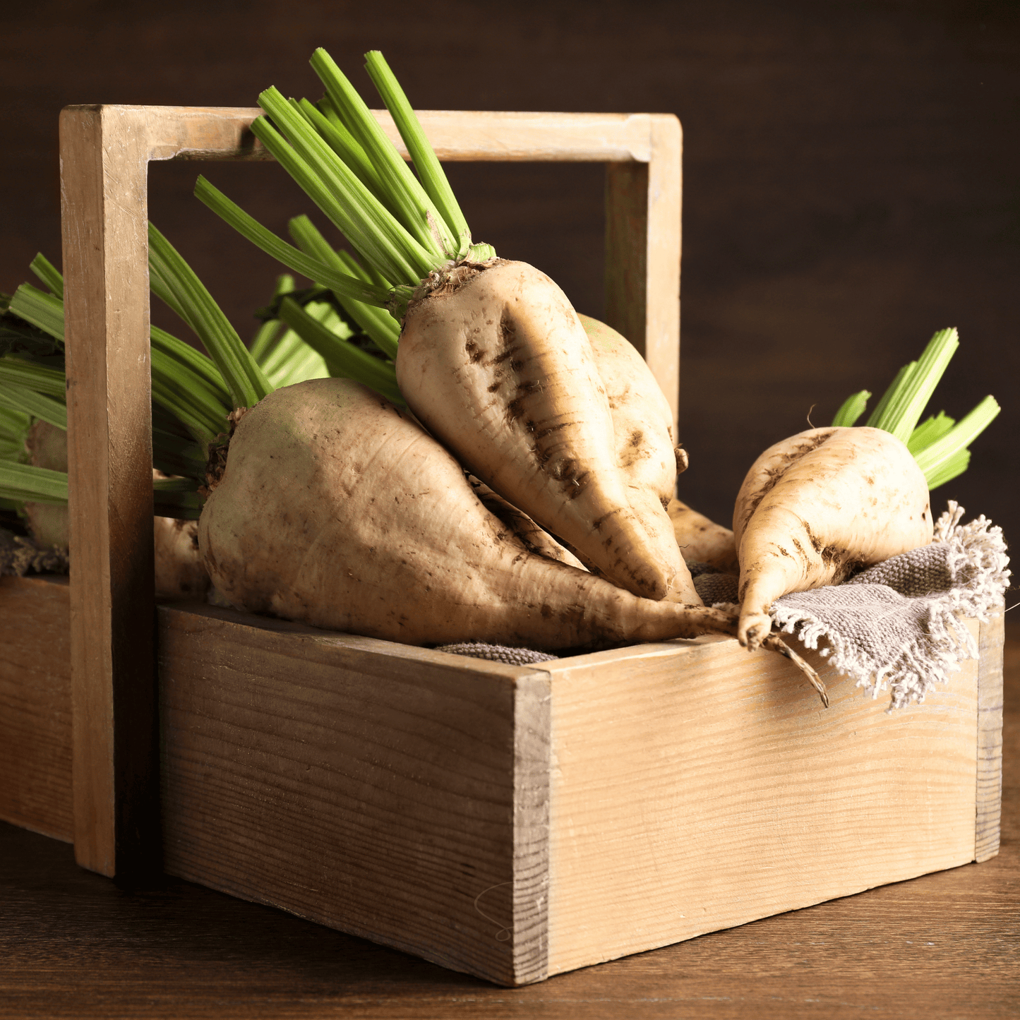 Sugar Beet – 50 Seeds