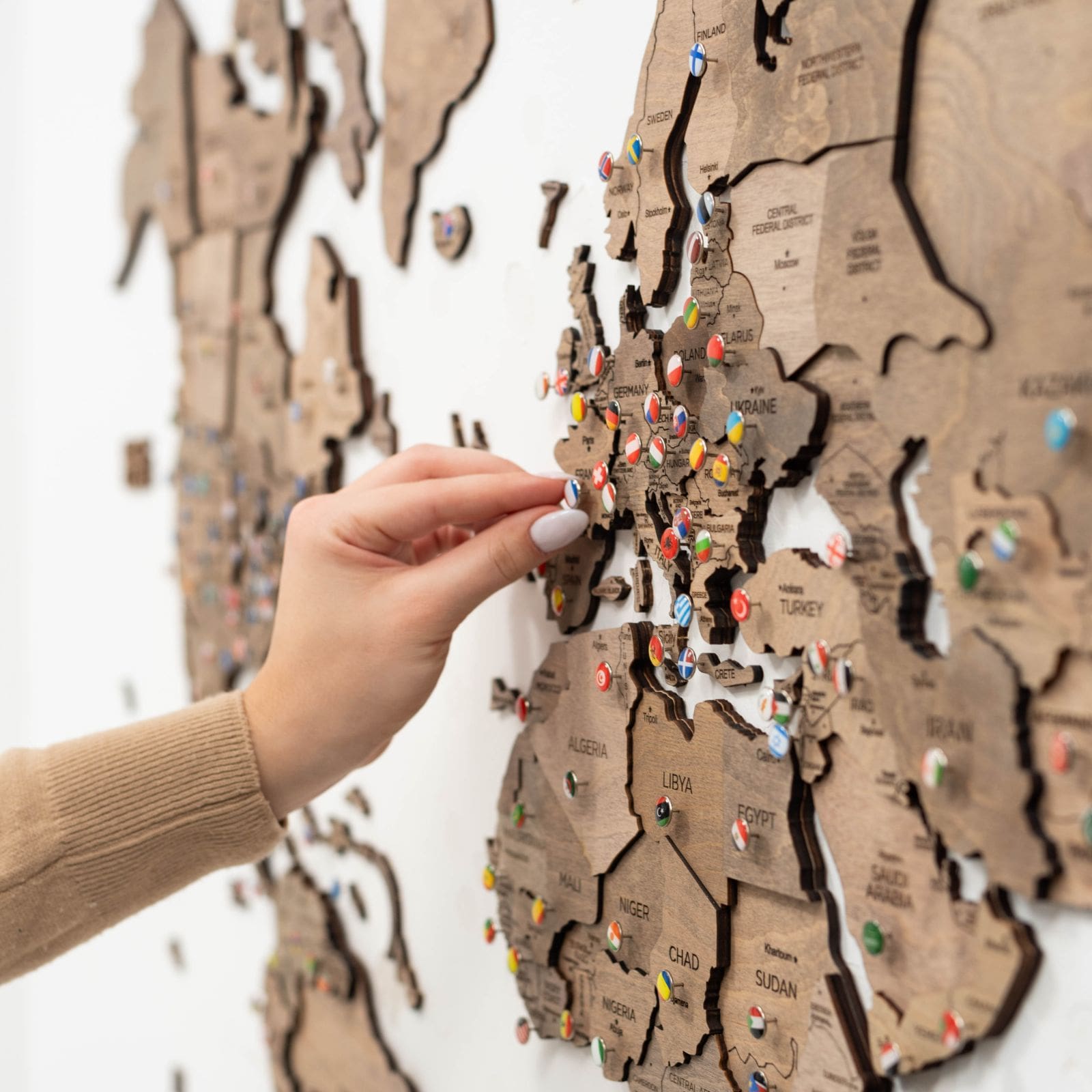 3D Wooden World Map Terra