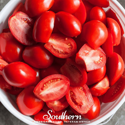 Roma VF Tomato – 50 Seeds