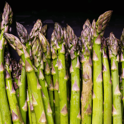 UC72 Asparagus – 50 Seeds