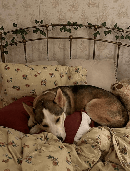 Vintage Inspired Floral Bedding Set / Brown + Beige