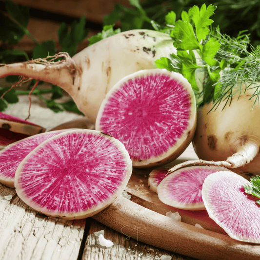 Watermelon Radish – 50 Seeds