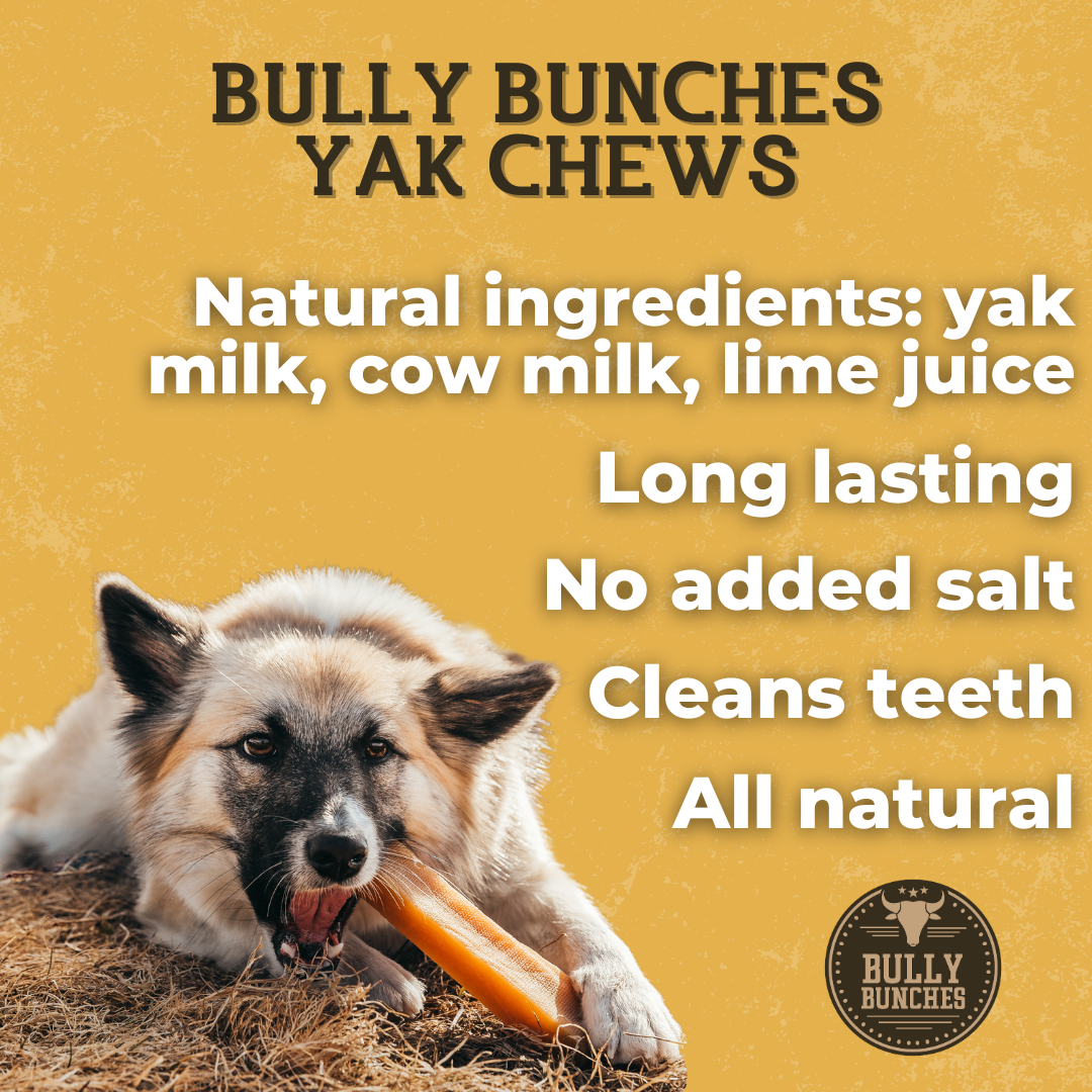 Himalayan Yak Chew (LARGE)