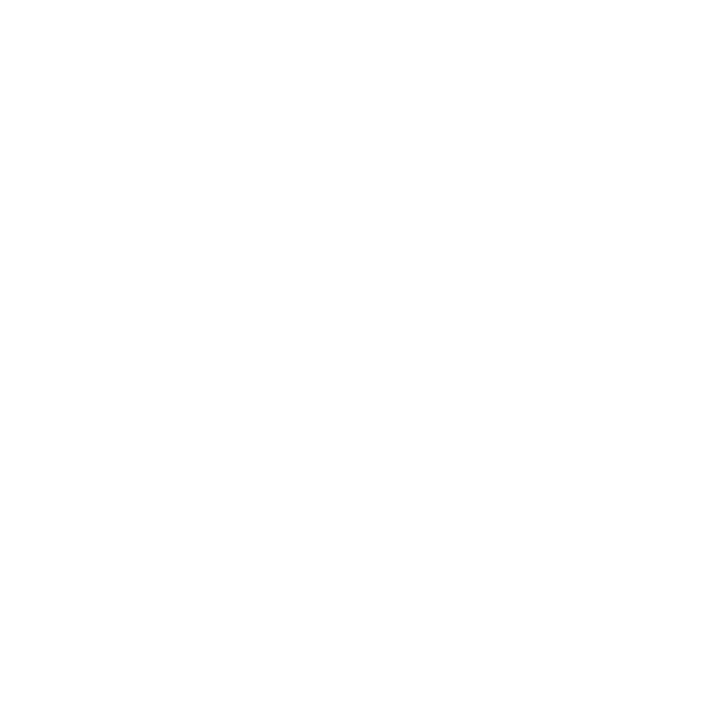 Sailing Ship Compass