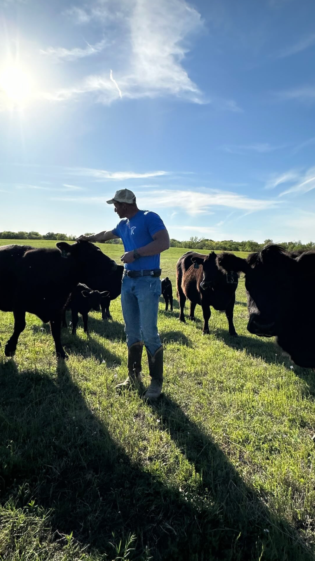 man petting a cow